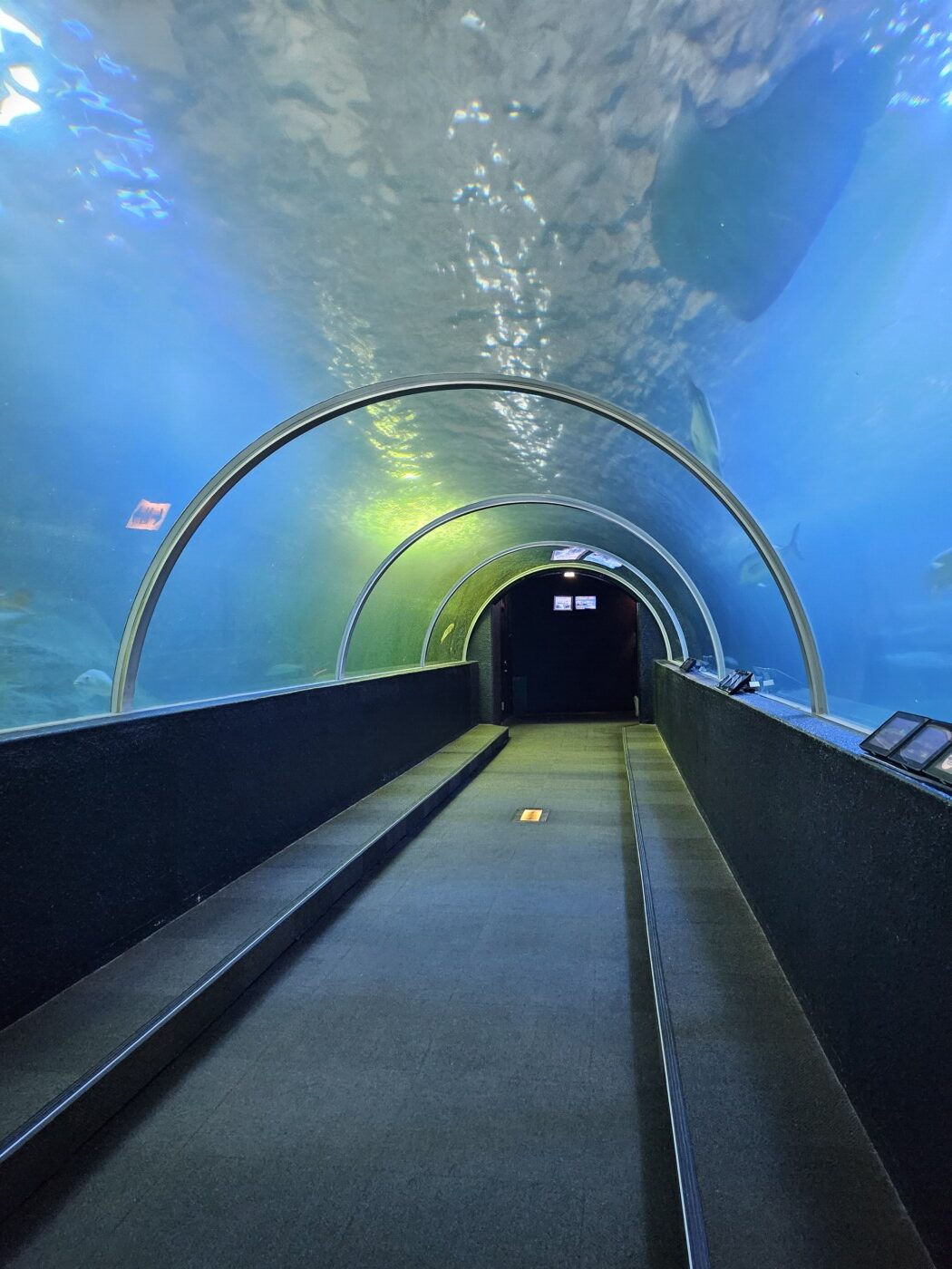 串本海中公園  大水槽
