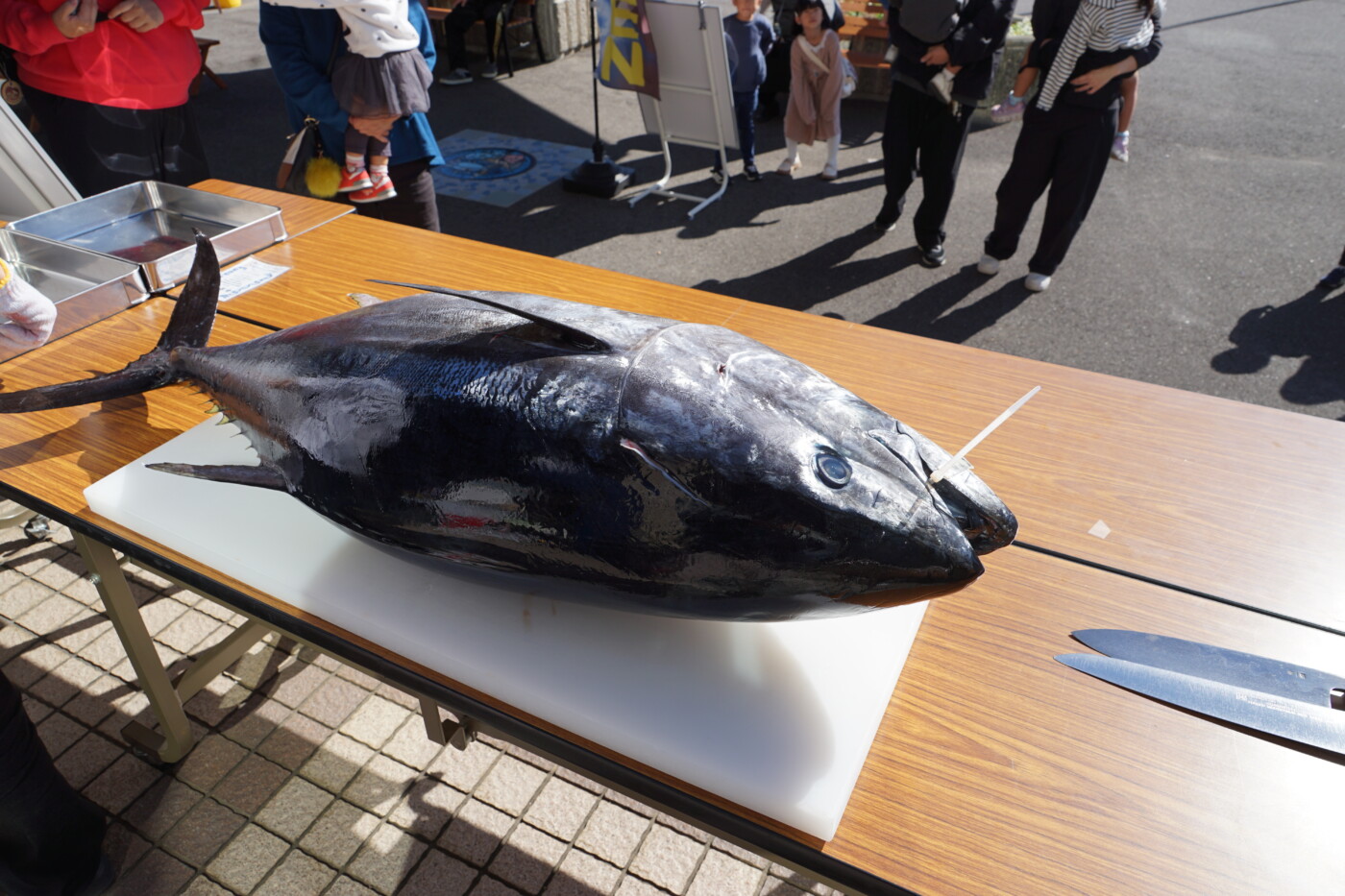 近大マグロ解体ショーの様子1