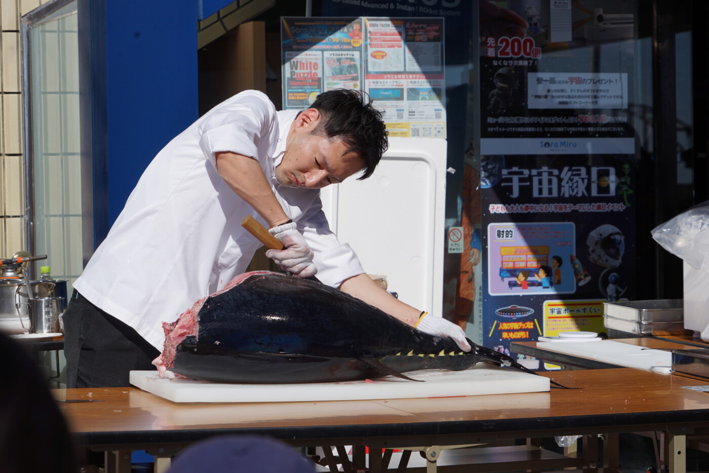 近大マグロ解体ショーの様子2